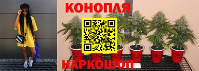 мяу мяу кристалл Кингисепп