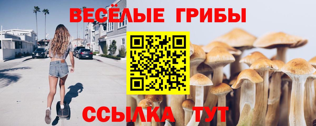 Псилоцибиновые грибы прущие грибы  продажа наркотиков  Комсомольск-на-Амуре  Вход с VPN 